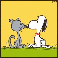 マリン (@milk_0626_) Twitter profile photo