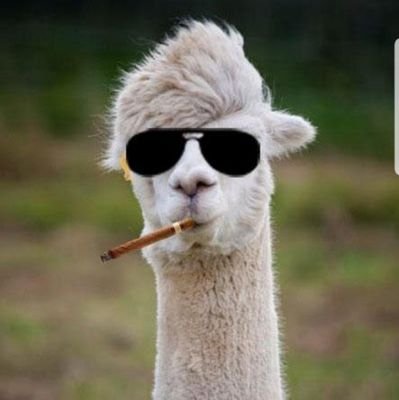 AffluentAlpaca's profile picture. oblivious agenda pusher | hater