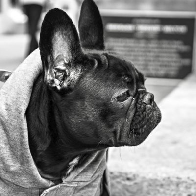 takano24197934's profile picture. pcスキル系に興味あり