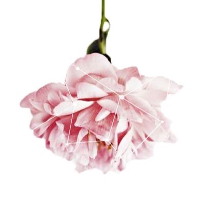 Luen_LM's profile picture. 성인