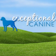 Exceptional Canine covers benefits of living and lifestyle with your dog. Vets, breeders and trainers share their tips on pet ownership and dog care.