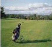 golfpurist's profile picture. Golfer.Traditionalist. Putt from off the green. Golf courses by the sea.
