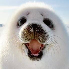 tak動物好きアカウント＜相互フォローしてね☆＞さんのプロフィール画像