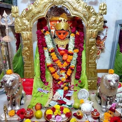 PareshR80648276 Profile Picture