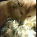 NPO法人アニマルレスキューたんぽぽ@大阪府豊能郡能勢町の動物保護団体 (@animaltanpopo) Twitter profile photo NPO法人アニマルレスキューたんぽぽ@大阪府豊能郡能勢町の動物保護団体 (@animaltanpopo) Twitter profile photo
