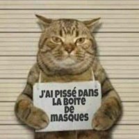mugiwara psgπ²π¦π²π¦ (@iptvpsg) 's Twitter Profile