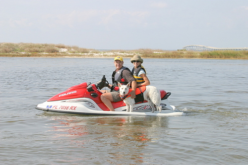 isaaclang's profile picture. Retired from US Navy and Delta Airlines.