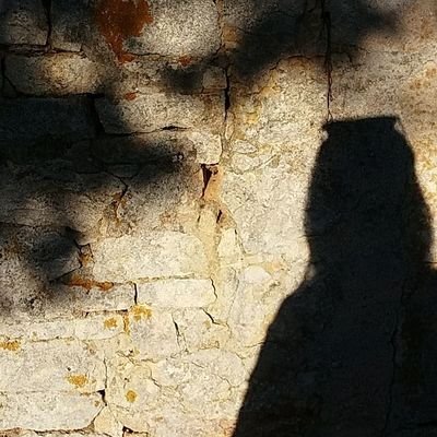 AudelineBdt's profile picture. Juriste de campagne