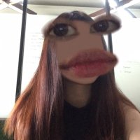 - (@rereerer) 's Twitter Profile