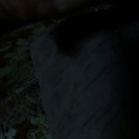 جيزانيه قحبه (@vev30805372) 's Twitter Profile