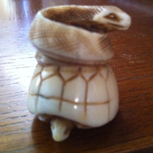 TheSnurtle's profile picture. 