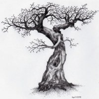 barryn (@barryjayr) 's Twitter Profile