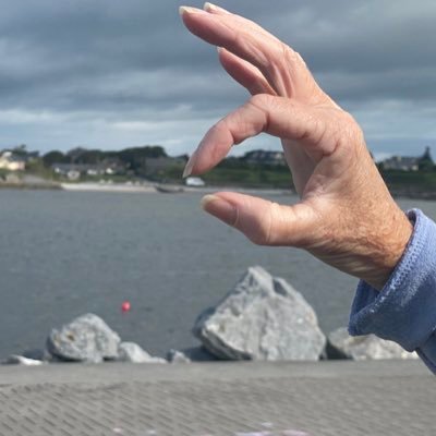 deNudge's profile picture. Human being, happy constitutional republican,social conscience. Proudly blocked by ML,Brid Smith Derek Blighe Gavin Pepper for calling out their populism