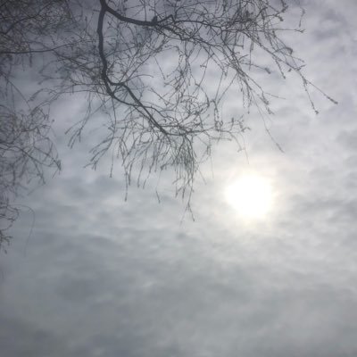 TaylorMartay999's profile picture. 