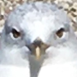 Jetさんのプロフィール画像