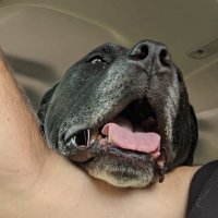 jeff zimmer (@zimbobwe13_jeff) 's Twitter Profile