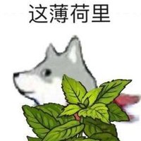 阿巴阿巴 (@d73877) Twitter profile photo