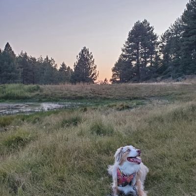 HipsterGpa's profile picture. 