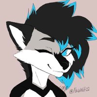 Nova the Wolf (@novawolf22) 's Twitter Profile