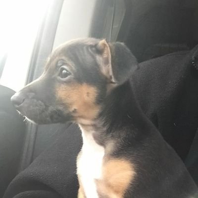 MrsWashers's profile picture. Mother, midwife, wife... say no more