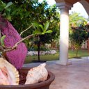 Villa Pearl - @VillaPearl - Twitter