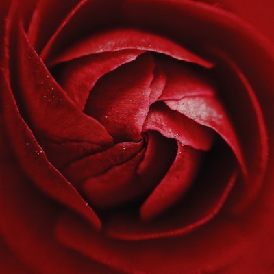 Evaさんのプロフィール画像