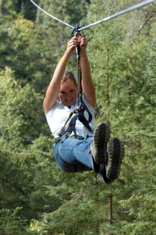 arbreenarbre's profile picture. S'AMUSER, C'EST DANS NOTRE BRANCHE !