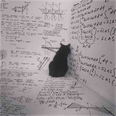 Food, Books, Places | Tech, Data, Languages | Cats & Incurable Curiosity ◉‿◉