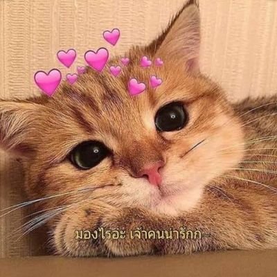 Pydx_gx's profile picture. ×ไม่ใช่บอทนะ× #เรียลหญิง ทักได้นะเค้าไม่หยิ่ง🥺🥺