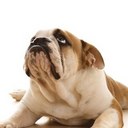 Keith Trott - @kktrott - Twitter