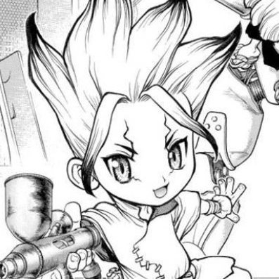 • {in}correct dr stone • dms open for submissions •