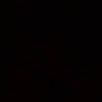sondos⚘ (@sondosg50825452) Twitter profile photo