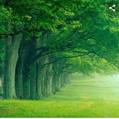 Jatintechy's profile picture. Tech Enthu