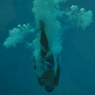 grooviemonkey's profile picture. all you need is music