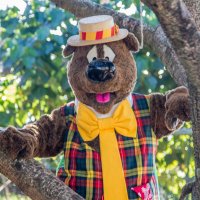 Humphrey B. Bear(@humphreybbeartv) 's Twitter Profile Photo