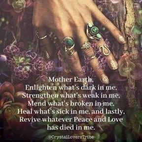 DonnaDeLaGarza5's profile picture. AF Vet. ❤ Country Music & Cats🐱  need positivity, balance, Good Luck/Karma, a home.