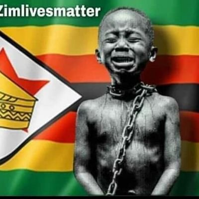 #ZimLivesMatter!