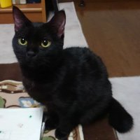 リリー (@kaori14198928) 's Twitter Profile Photo リリー (@kaori14198928) 's Twitter Profile Photo