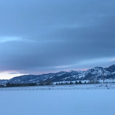 Everything_TK's profile picture. you can tell the sex of an ant by dropping it into water. If it sinks: girl ant...