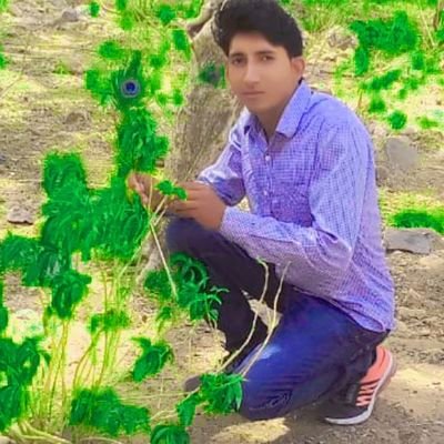 meena_dhauli's profile picture. dsssb Delhi teacher