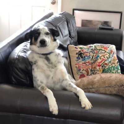 MulvihillConnor's profile picture. 