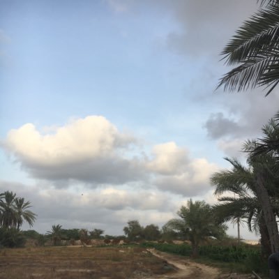 3Yahyaie's profile picture. 