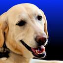 David Bernstein - @dbb517 - Twitter