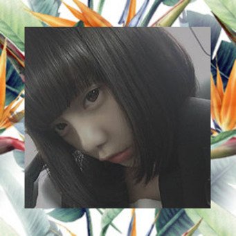 pyhtodgo1eicr's profile picture. 