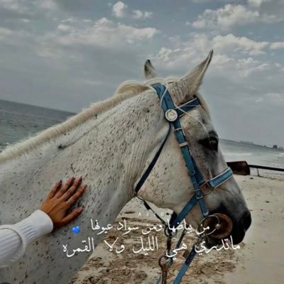 Life is the most difficult exam.Many people fail because they try to copy others. Not realizing that everyone has a different question paper 🎴
