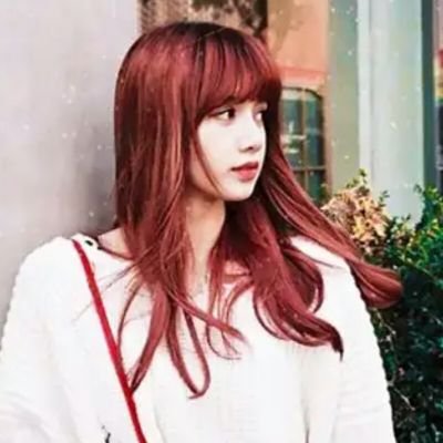 blackpink in your area