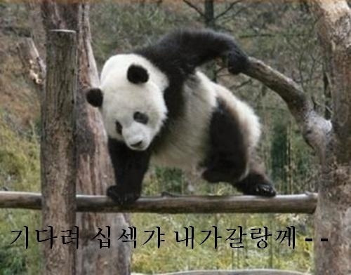 똘이장군 나가신다 길을 비켜라
똘이장군 앞서간다 겁낼 것 없다
덤벼라 덤벼라 북한 괴뢰군 악한 자들아
무쇠 같은 주먹이 용서 못한다