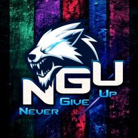 NeverGiveUp (@nevergiveuptec) 's Twitter Profile