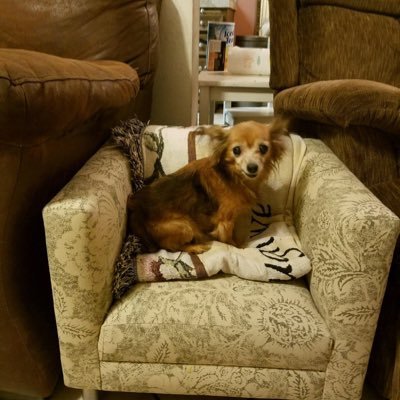 Arianna68312130's profile picture. :/