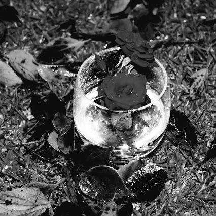 HughDMarais's profile picture. #ilovetheLordJesus #aviationspecialist #Cryptoneur #dedicated #fatherX4 #husband